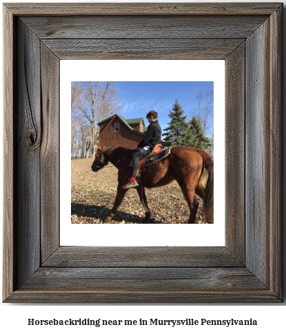 horseback riding near me in Murrysville, Pennsylvania